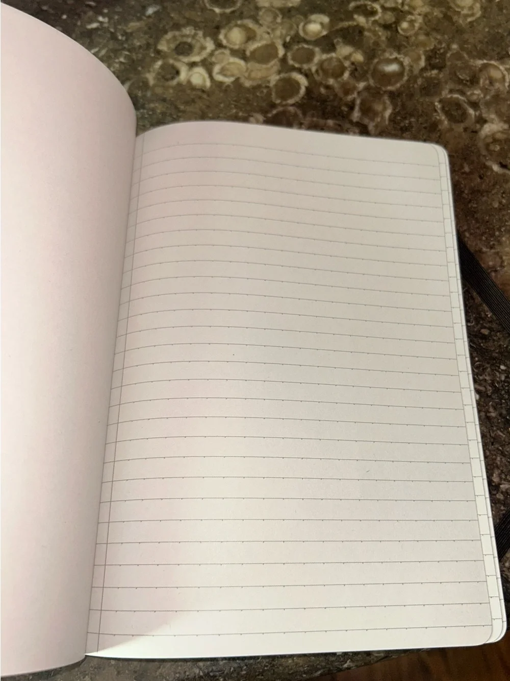 Geology Journal with Elastic Band - Multicolor